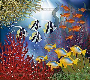 Underwater wallpaper with tropical fish, vector - vector image