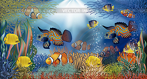 Underwater banner with tropical fish, vector  - vector clipart