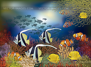 Подводные обои с тропические рыбы, вектор - клипарт в векторе / векторное изображение