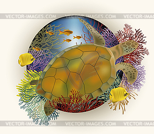 Underwater card with sea turtle, vector illustration - vector clipart