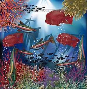 Underwater wallpaper with red tropical fish, vector - vector clipart