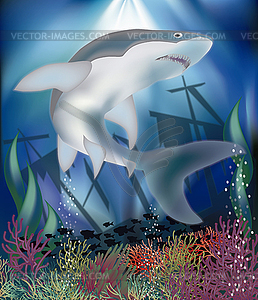 Underwater wallpaper with shark, vector illustration - vector image