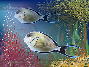 Underwater wallpaper with surgeon-fish, vector - vector clip art
