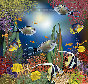 Underwater wallpaper with tropical fish, vector - vector clipart / vector image