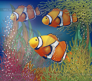 Underwater card with clownfish, vector illustration - vector clipart