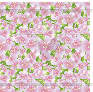 Spring sakura pattern, vector illustration - vector clip art