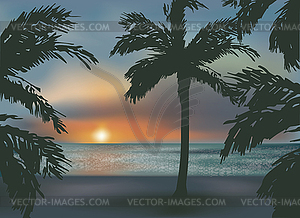 Beautiful southern sunset sea, vector illustration - vector image