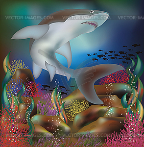 Underwater background with shark, vector illustration - color vector clipart