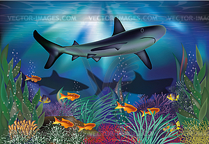 Underwater tropical card with Shark, vector illustratio - vector image