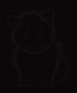 Little kitten black and white, vector illustration - vector image