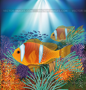 Underwater card with clownfish, vector illustration - vector clipart