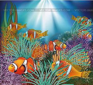 Underwater tropical wallpaper, vector illustration - vector image