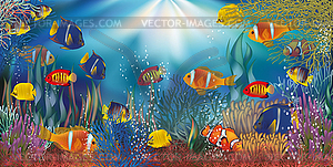 Underwater tropical wallpaper, vector illustration - vector image