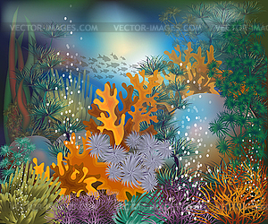 Underwater tropical card, vector illustration - vector clip art