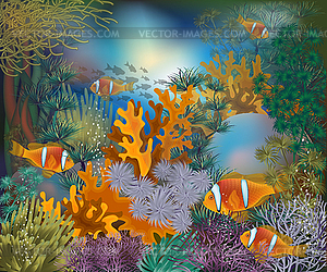 Underwater tropical card with clownfish, vector illustr - vector clipart / vector image