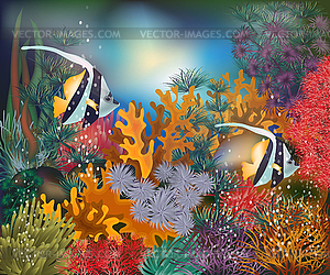 Underwater tropical card with Moorish idol fish, vector - vector clipart