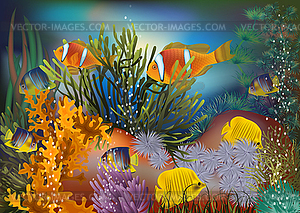 Подводные обои с тропической рыбой, векторная иллюзия - векторное изображение клипарта