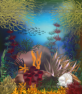 Тропический подводный фон с жемчугом, вектор - изображение в векторе