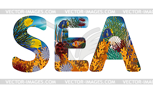 Sea underwater wallpaper , vector illustration - vector image