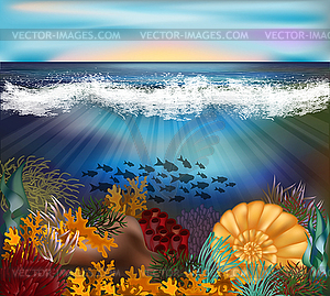 Тропический подводный фон с жемчужной оболочкой - клипарт в формате EPS