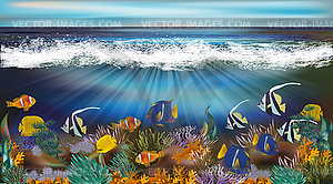 Underwater wallpaper with tropical fish, vector illustr - vector image