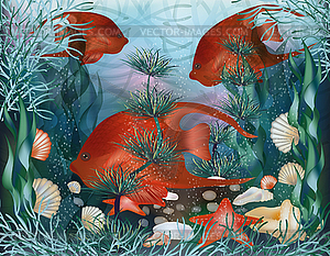 Подводные обои с ракушками и тропической рыбой, vec - векторное изображение