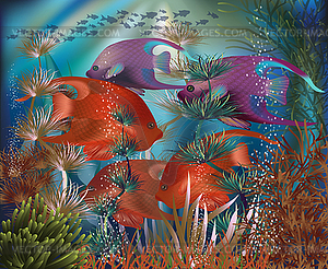 Underwater banner with tropical fish, vector illustrati - vector EPS clipart