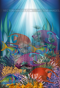 Underwater card with tropical fish, vector illustration - vector image