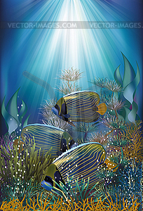 Underwater card with Blue striped fish, vector illustra - vector clip art