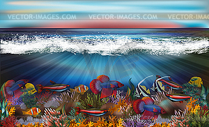 Underwater background with tropical fish, vector illust - vector image