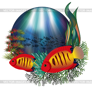 Underwater card with tropical Flame angelfish, vector i - vector clip art