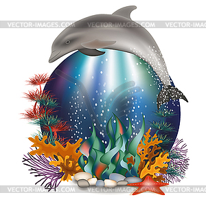 Underwater card with dolphin, vector illustration - vector image