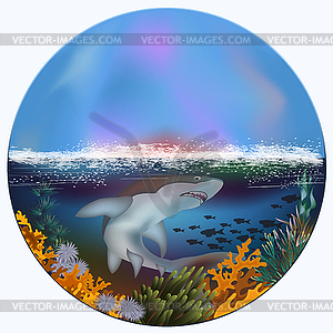 Underwater card with shark and tropical fish, vector il - vector clipart