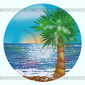Восход тропической карты с пальмами, векторные иллюстрации - клипарт