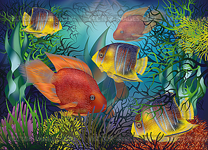 Underwater background with tropical fish, Red Parrot  - vector image