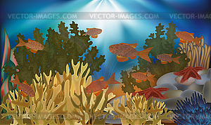 Underwater wallpaper with algae, starfish and tropical  - vector clip art