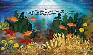 Underwater banner with algae, starfish and tropical fis - stock vector clipart