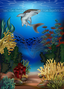 Underwater wallpaper with shark, vector illustration - vector image