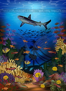 Underwater wallpaper with shark and sunken ship, vector - vector clip art