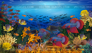 Underwater wallpaper with tropical fish and algae, vect - vector clip art