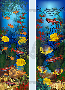 Underwater vertical banners with algae and tropical fis - vector image