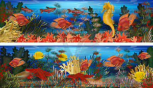 Underwater horizontal banners with seahorse, algae and  - vector clipart