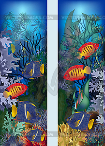 Underwater vertical banners with tropical fish, vector  - vector image