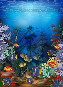 Underwater card with algae, tropical fish and sunken sh - vector image
