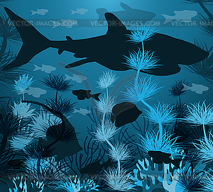 Underwater background with tropical fish and shark, vec - vector clip art