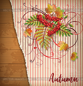 Autumn greeting card with maple leaves, vector illustra - vector clip art