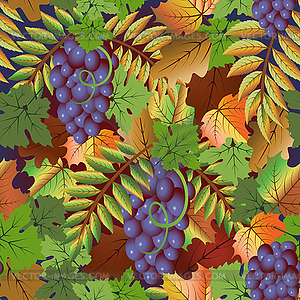 Осенняя бесшовная открытка с виноградными плодами, векторная иллюстрация - изображение в векторе