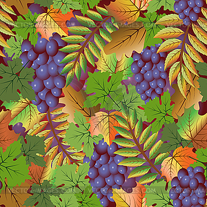 Autumn seamless card with grape fruit, vector illustrat - vector clip art