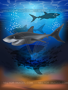 Underwater wallpaper with shark . vector illustration - vector clipart