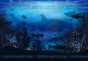 Underwater landscape with shark and tropical fish, vect - vector clipart